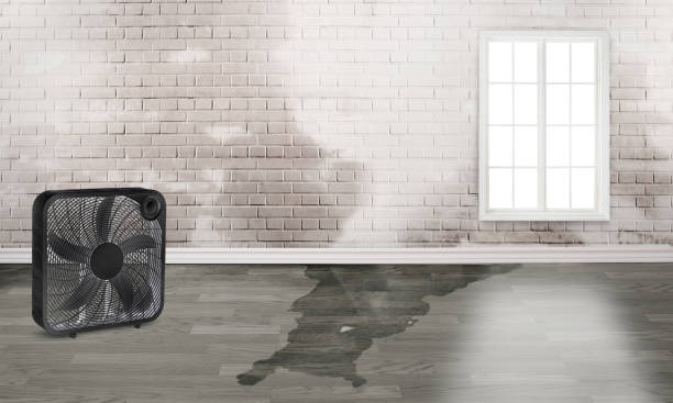 Best 24/7 water damage repair  in Spinnerstown, PA