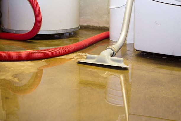 Best Carpet water damage restoration  in Spinnerstown, PA