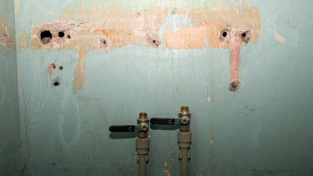 Best Water damage restoration near me  in Spinnerstown, PA