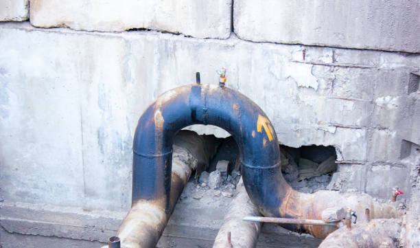 Best Mold removal after water damage  in Spinnerstown, PA