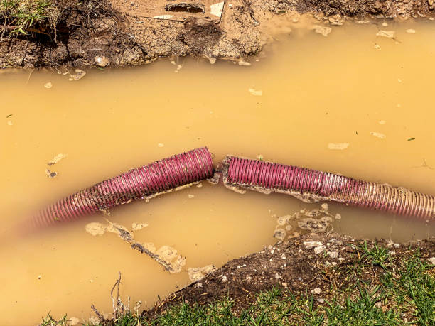 Best Water damage contractors near me  in Spinnerstown, PA