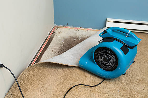 Best Flooded house restoration  in Spinnerstown, PA